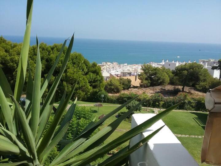 Deluxe Sea View Apartments توريمولينوس المظهر الخارجي الصورة